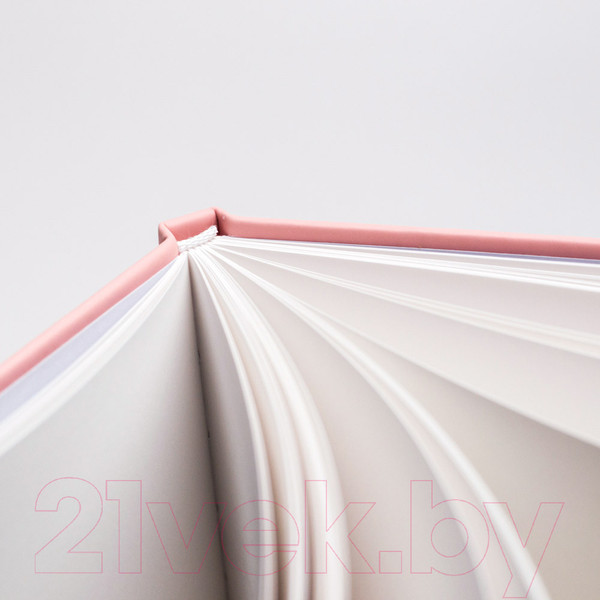 Изображение товара Скетчбук Малевичъ Bristol Touch / 401233 (40л, розовый)