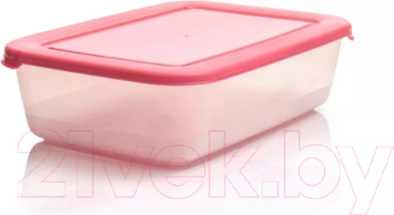 Изображение товара Контейнер Полимербыт Лайт / C559