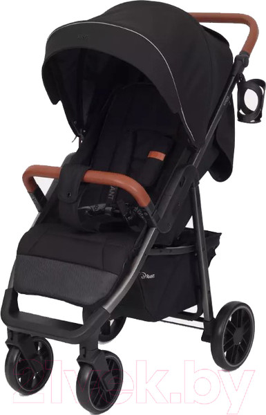 Изображение товара Детская прогулочная коляска Rant Vega 2023 / RA057 (черный)