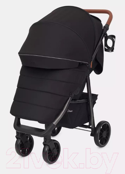 Изображение товара Детская прогулочная коляска Rant Vega 2023 / RA057 (черный)