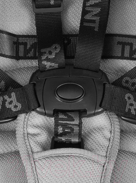 Изображение товара Детская прогулочная коляска Rant Vega 2023 / RA057 (черный)