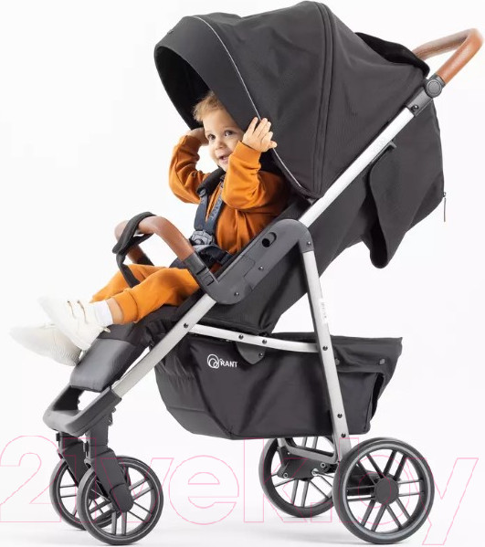 Изображение товара Детская прогулочная коляска Rant Vega 2023 / RA057 (черный)