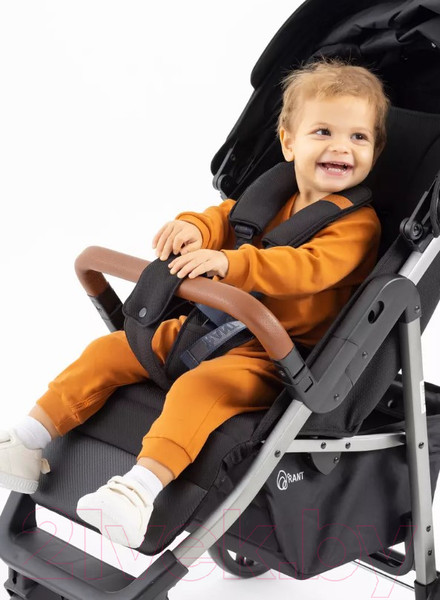 Изображение товара Детская прогулочная коляска Rant Vega 2023 / RA057 (черный)