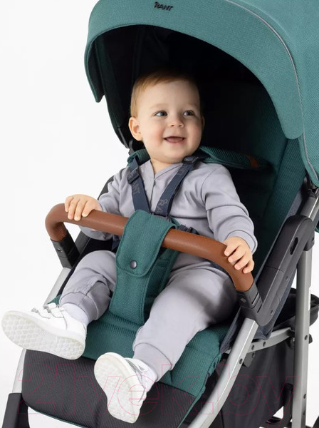 Изображение товара Детская прогулочная коляска Rant Vega 2023 / RA057 (зеленый)