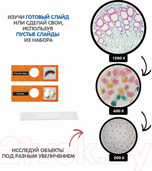 Изображение товара Микроскоп оптический Bondibon Французские опыты. Науки с Буки / ВВ5656