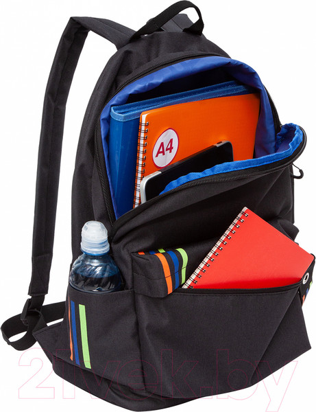 Изображение товара Рюкзак Grizzly RQL-317-7 (черный)