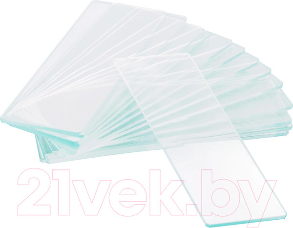 Изображение товара Набор стекол предметных Levenhuk G50 1H / 73808 (50шт)