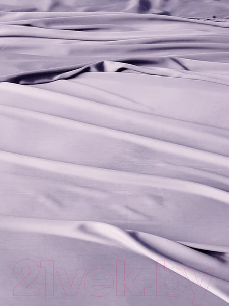 Изображение товара Комплект постельного белья GoodNight Essential Дуэт / 401225 (лаванда)