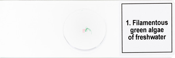 Изображение товара Набор микропрепаратов Levenhuk Discovery Prof DPS 5 Биология / 78410