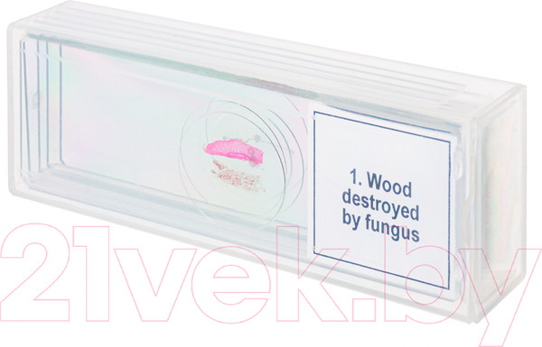 Изображение товара Набор микропрепаратов Levenhuk Discovery Prof DPS 5 Мутации / 78411