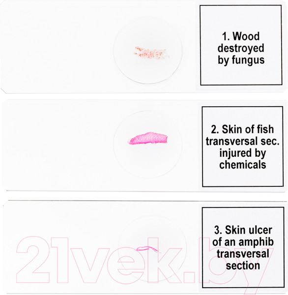 Изображение товара Набор микропрепаратов Levenhuk Discovery Prof DPS 5 Мутации / 78411