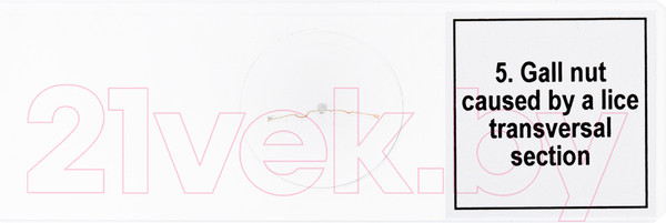 Изображение товара Набор микропрепаратов Levenhuk Discovery Prof DPS 5 Мутации / 78411