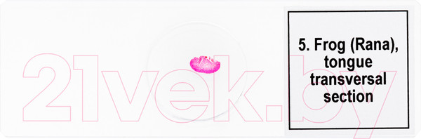 Изображение товара Набор микропрепаратов Levenhuk Discovery Prof DPS 5 Амфибия / 78413