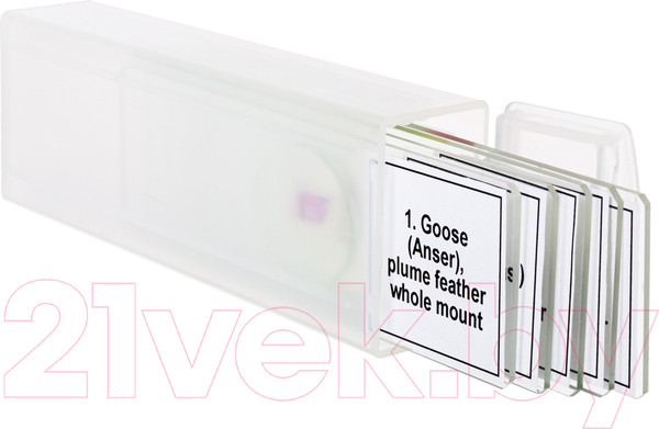 Изображение товара Набор микропрепаратов Levenhuk Discovery Prof DPS 5 Птицы / 78414