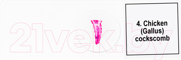 Изображение товара Набор микропрепаратов Levenhuk Discovery Prof DPS 5 Птицы / 78414