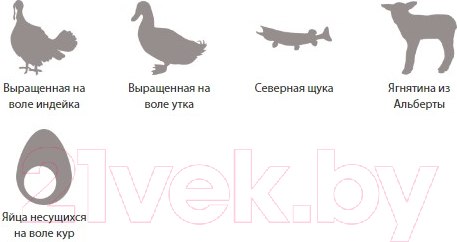 Изображение товара Сухой корм для собак Acana Grasslands с ягненком беззерновой / 2108 (11.4кг)