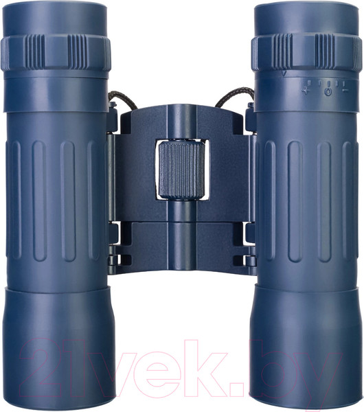 Изображение товара Бинокль Levenhuk Discovery Basics BB 10x25 / 79651