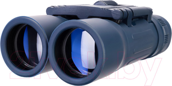 Изображение товара Бинокль Levenhuk Discovery Basics BB 10x25 / 79651