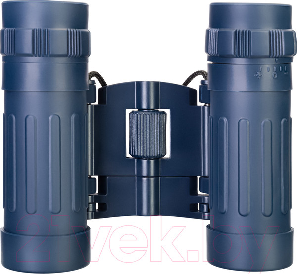 Изображение товара Бинокль Levenhuk Discovery Basics BB 8x21 / 79652