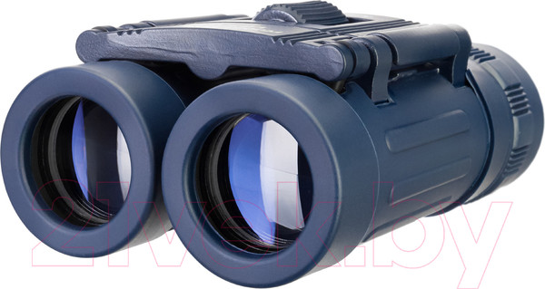 Изображение товара Бинокль Levenhuk Discovery Basics BB 8x21 / 79652