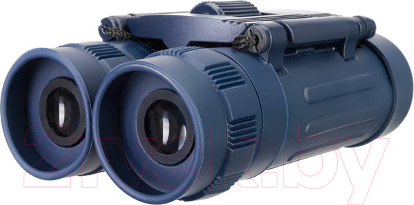 Изображение товара Бинокль Levenhuk Discovery Basics BB 8x21 / 79652