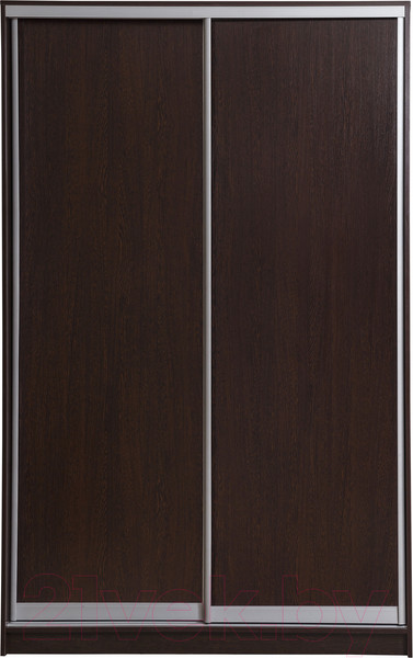 Изображение товара Шкаф-купе Рэйгрупп 120 VVX Elgon РГ-06.03 (венге/хром)