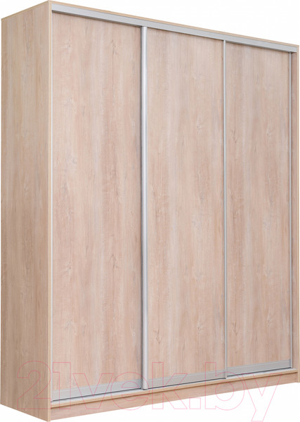 Изображение товара Шкаф-купе Рэйгрупп 176 TTX Elgon РГ-03.03 (дуб торонто/хром)