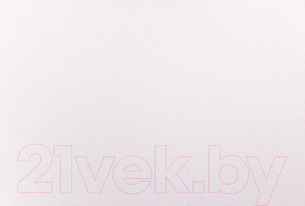 Изображение товара Набор бумаги для рисования Малевичъ White Swan / 402400 (10л)