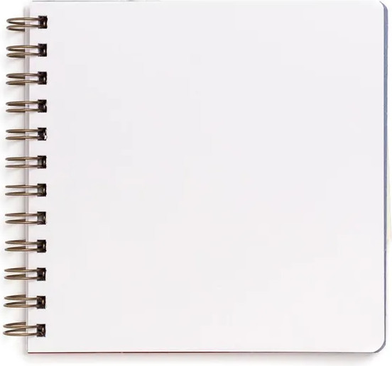 Изображение товара Скетчбук Малевичъ White Swan / 401480 (25л, черный)