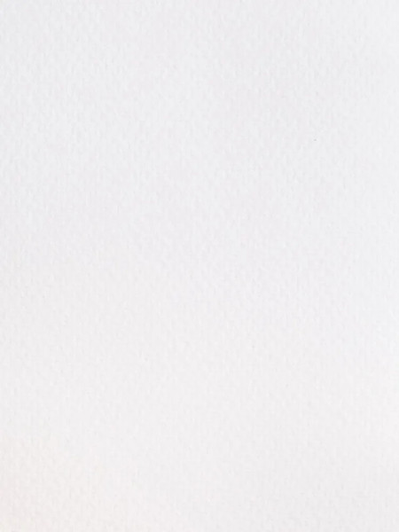 Изображение товара Скетчбук Малевичъ White Swan / 401479 (25л, синий)