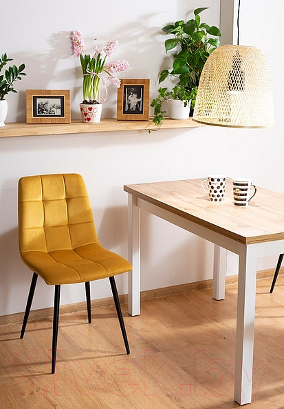 Изображение товара Стул Signal Mila Velvet Bluvel 68 (карри/черный)