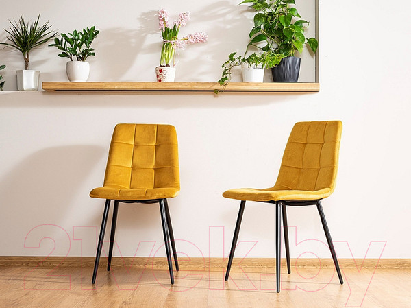 Изображение товара Стул Signal Mila Velvet Bluvel 68 (карри/черный)