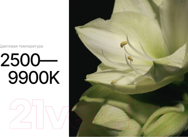 Изображение товара Осветитель студийный RayLab RL-LED10R