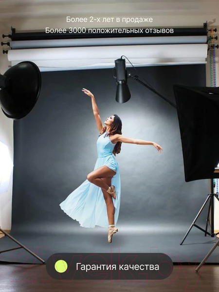 Изображение товара Подъемник фона RayLab BS-S3