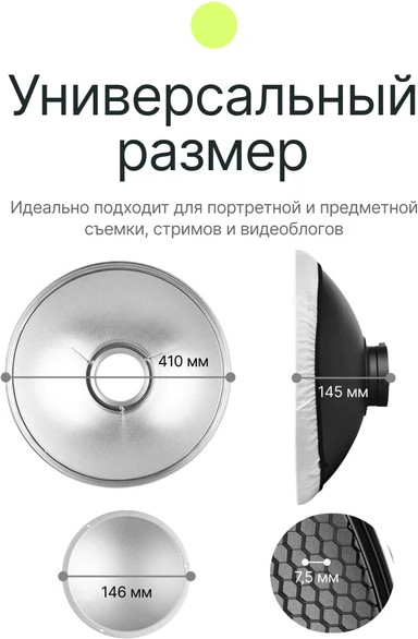 Изображение товара Тарелка портретная RayLab RL-BD41