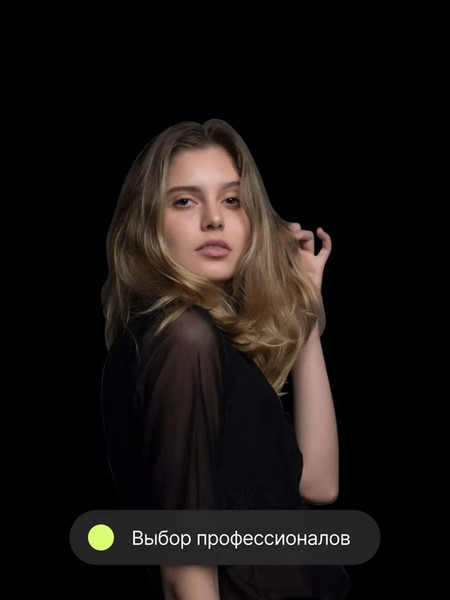 Изображение товара Тарелка портретная RayLab RL-BD41