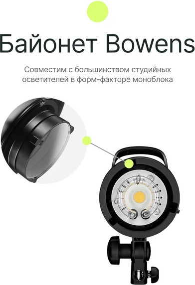 Изображение товара Тарелка портретная RayLab RL-BD41