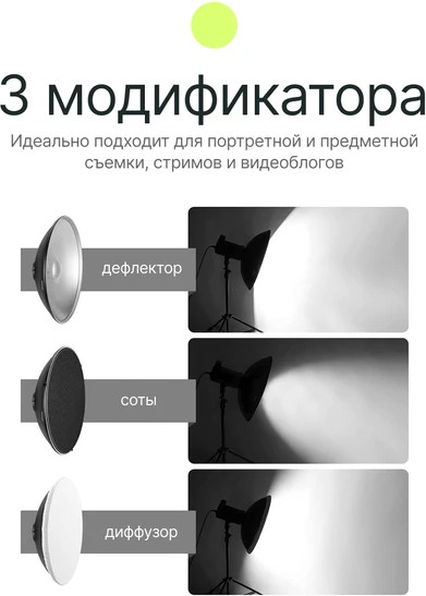 Изображение товара Тарелка портретная RayLab RL-BD41