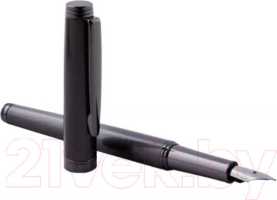 Изображение товара Ручка перьевая имиджевая Pierre Cardin Shine / PC2304FP