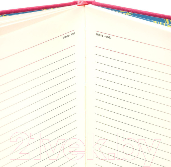 Изображение товара Ежедневник Lorex Neon Madness / LXDRA5-NM (96л, фуксия)