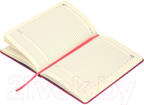 Изображение товара Ежедневник Lorex Neon Madness / LXDRA5-NM (96л, фуксия)