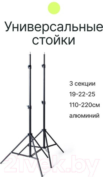 Изображение товара Комплект осветителей студийных RayLab RL-100 Kit
