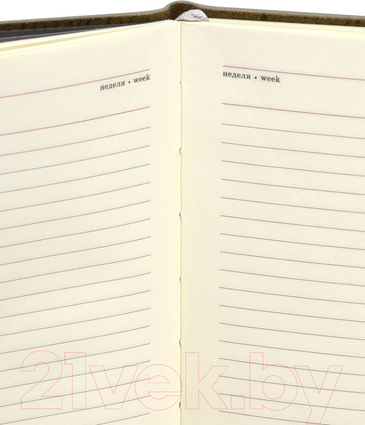 Изображение товара Ежедневник Lorex Elegance Stylish Collection / LXDRA5-ESC2 (80л, серый)