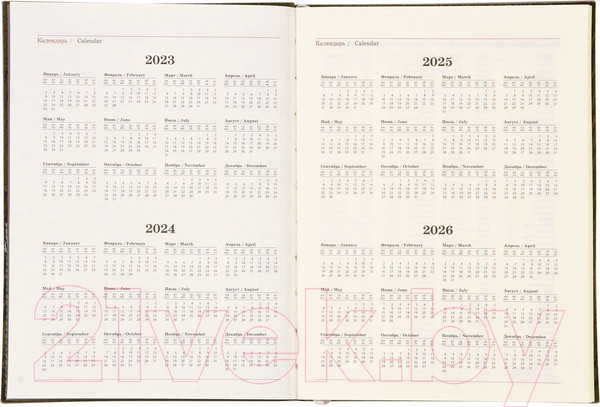 Изображение товара Ежедневник Lorex Elegance Stylish Collection / LXDRA5-ESC2 (80л, серый)