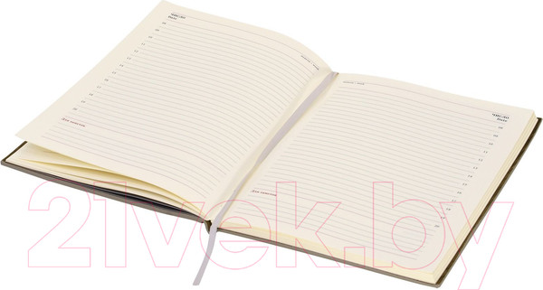 Изображение товара Ежедневник Lorex Elegance Stylish Collection / LXDRA5-ESC2 (80л, серый)