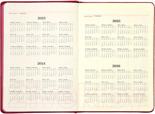 Изображение товара Ежедневник Lorex Enjoyable / LXDRA5-EJ2 (96л, ягодный)