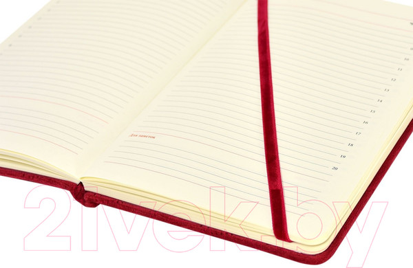 Изображение товара Ежедневник Lorex Enjoyable / LXDRA5-EJ2 (96л, ягодный)