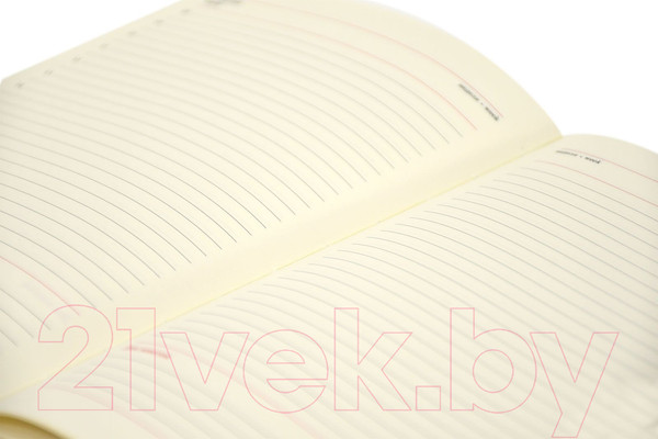 Изображение товара Ежедневник Lorex Enjoyable / LXDRA5-EJ2 (96л, ягодный)