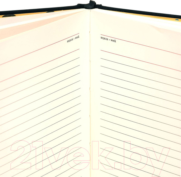 Изображение товара Ежедневник Lorex Eye-Popping / LXDRA5-EP (96л, черный)