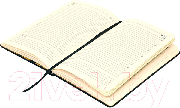 Изображение товара Ежедневник Lorex Eye-Popping / LXDRA5-EP (96л, черный)